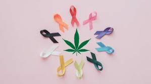 L'huile de CBD bio contre le cancer