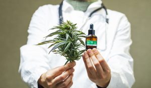 Le tétrahydrocannabinol (THC), le cannabidiol (CBD), le cannabinol (CBN) sont les cannabinoïdes les plus consommé pour des pathologie comme la dépression, le cancer, la sclérose en plaque ou le glaucome