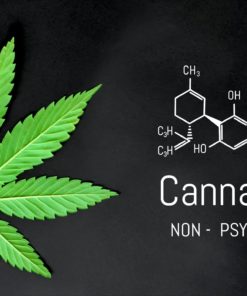 Le tétrahydrocannabinol (THC), le cannabidiol (CBD), le cannabinol (CBN) sont les cannabinoïdes les plus consommé pour des pathologie comme la dépression, le cancer, la sclérose en plaque ou le glaucome