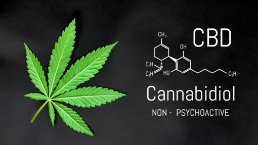 Le tétrahydrocannabinol (THC), le cannabidiol (CBD), le cannabinol (CBN) sont les cannabinoïdes les plus consommé pour des pathologie comme la dépression, le cancer, la sclérose en plaque ou le glaucome