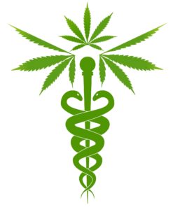 Le tétrahydrocannabinol (THC), le cannabidiol (CBD), le cannabinol (CBN) sont les cannabinoïdes les plus consommé pour des pathologie comme la dépression, le cancer, la sclérose en plaque ou le glaucome