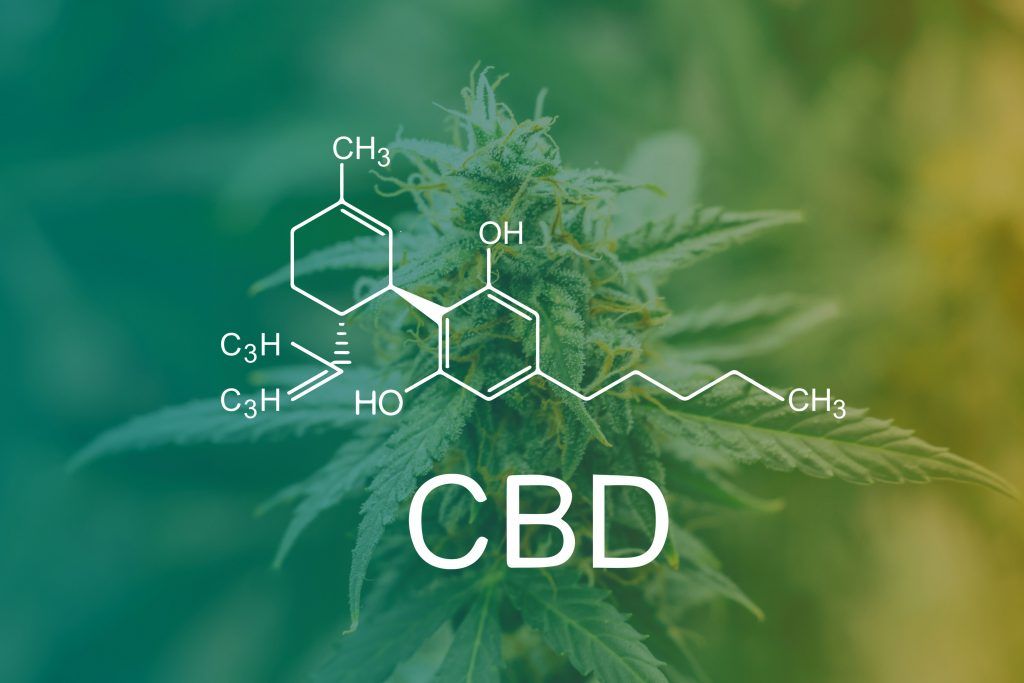 Le tétrahydrocannabinol (THC), le cannabidiol (CBD), le cannabinol (CBN) sont les cannabinoïdes les plus consommé pour des pathologie comme la dépression, le cancer, la sclérose en plaque ou le glaucome